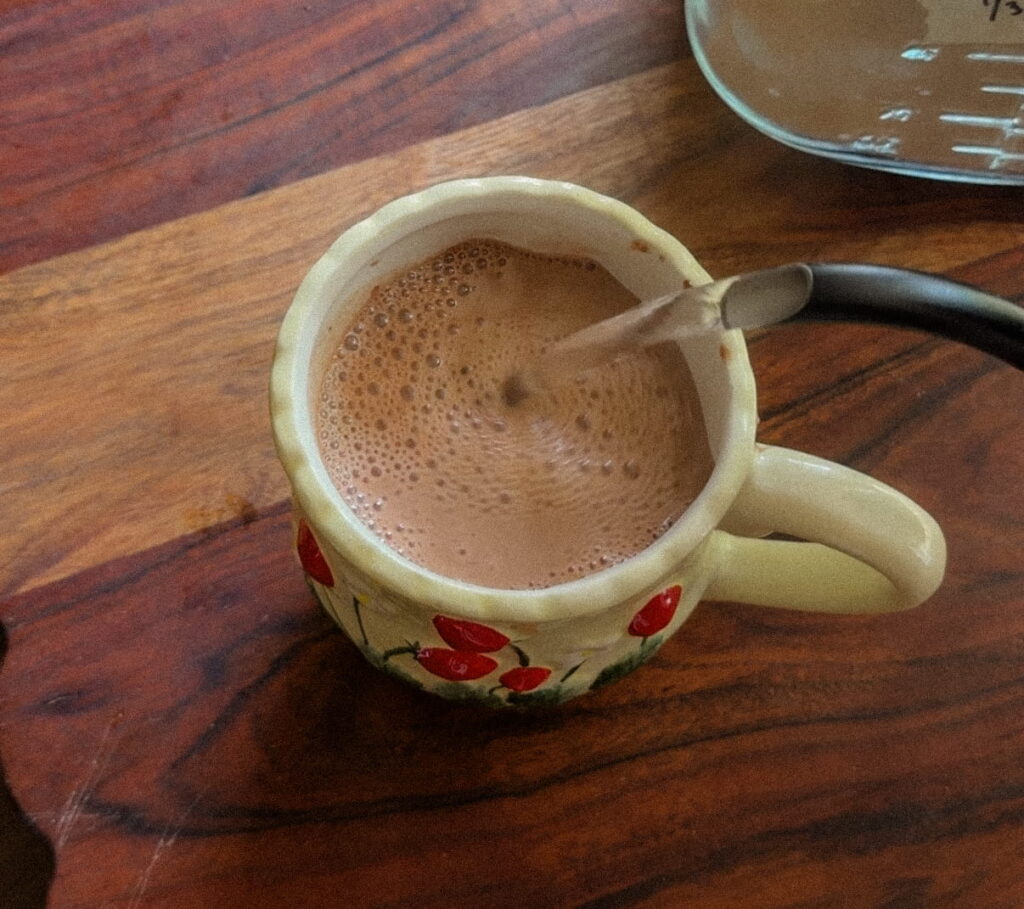 Mug of homemade hot chocolate 